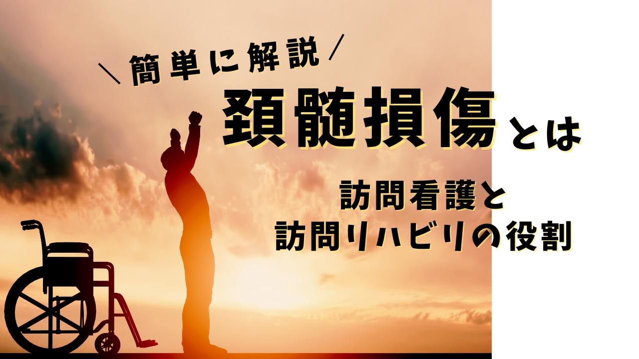 動画で学ぶ脊髄損傷のリハビリテーション[DVD-ROM付] | 書籍詳細